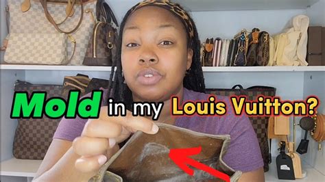 louis vuitton mold amazon|5 EASY Steps To Remove Mold From Vintage Louis Vuitton .